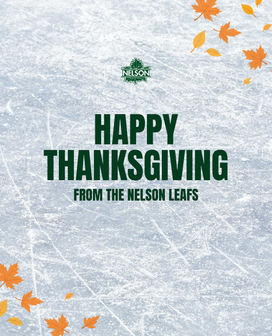 Happy Thanksgiving 🧡
We hope you all have a wonderful day filled with good food, great company, and ending the day with full bellies!